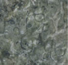 A wooden floor with a natural finish. AI generated content