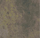 A gray and brown patterned fabric with a nude figure. AI generated content