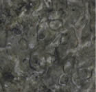 A wooden floor with a natural finish. AI generated content