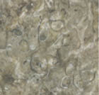 A wooden floor with a brown and tan color scheme. AI generated content